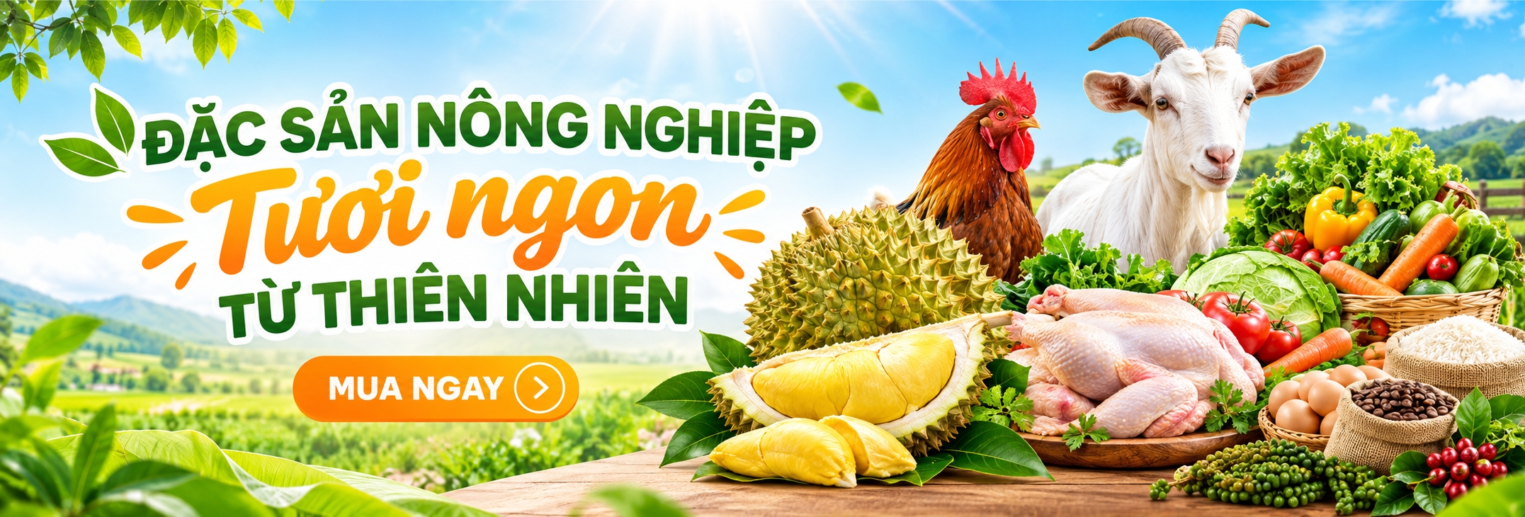 Banner chính