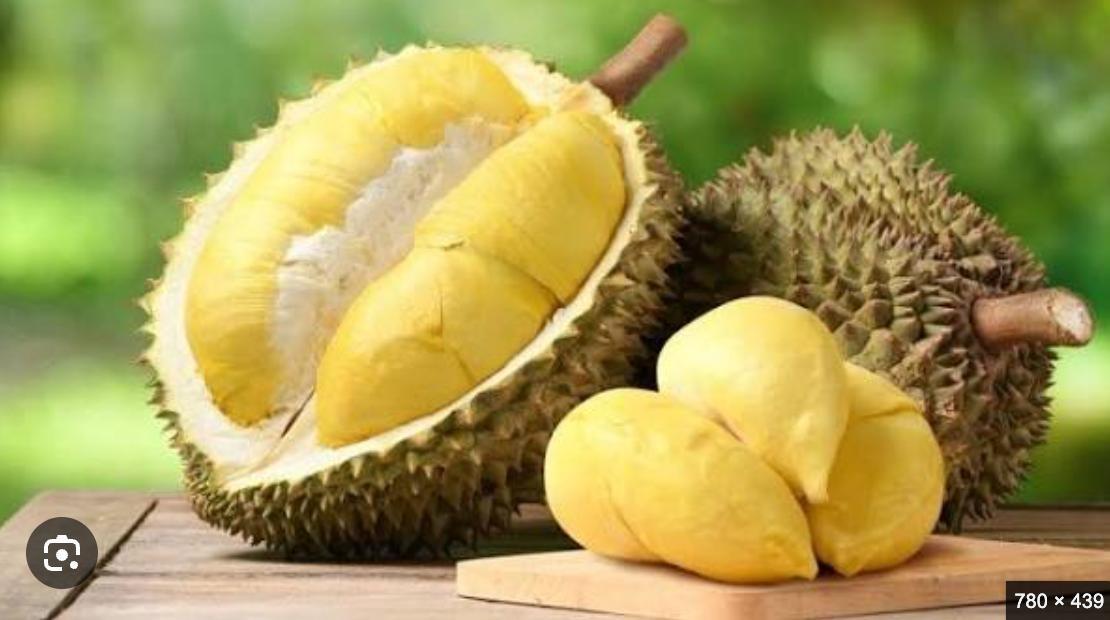 Vì sao có trái sầu riêng nhìn rất đẹp nhưng ăn lại không ngon?